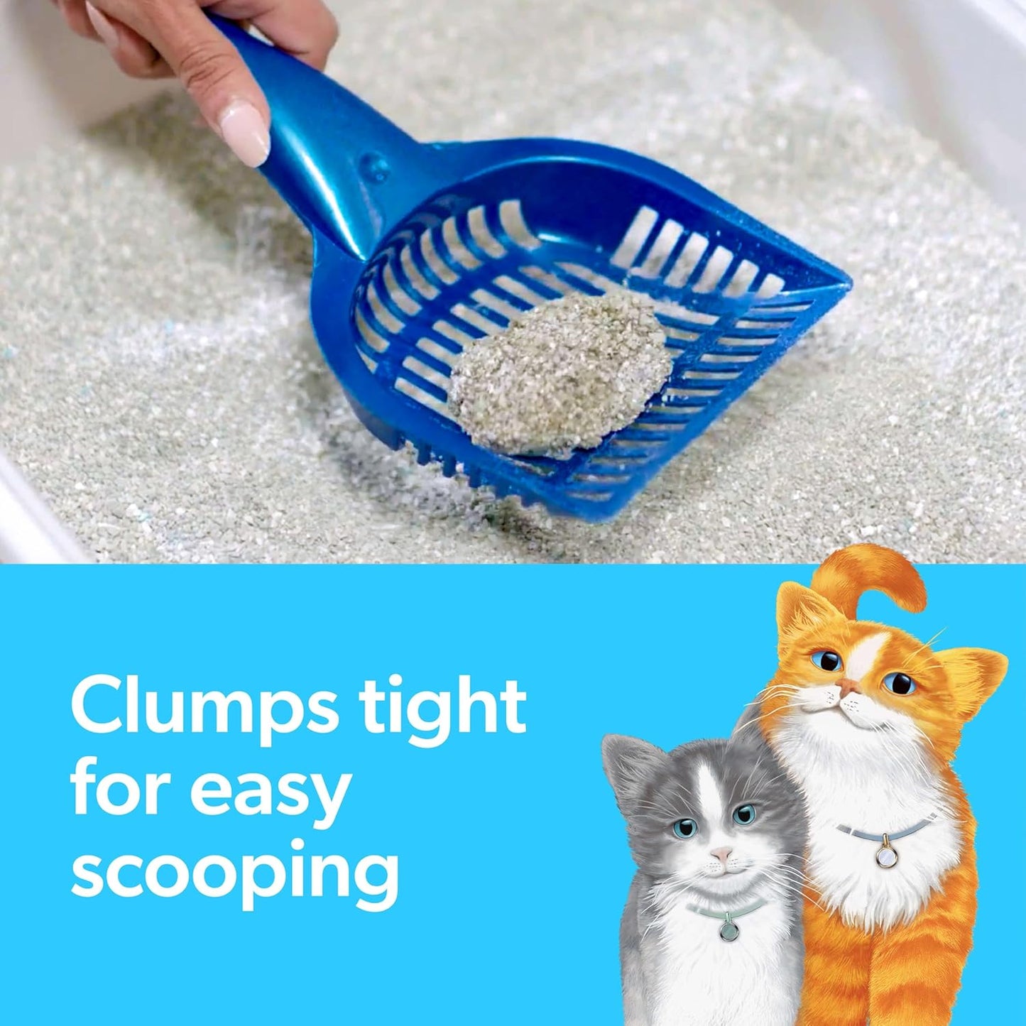 Clumping Cat Litter, Multi-Cat, Long Lasting Odor Control Kitty Litter with Activated Charcoal, Low Dust Formula, 14 Lb