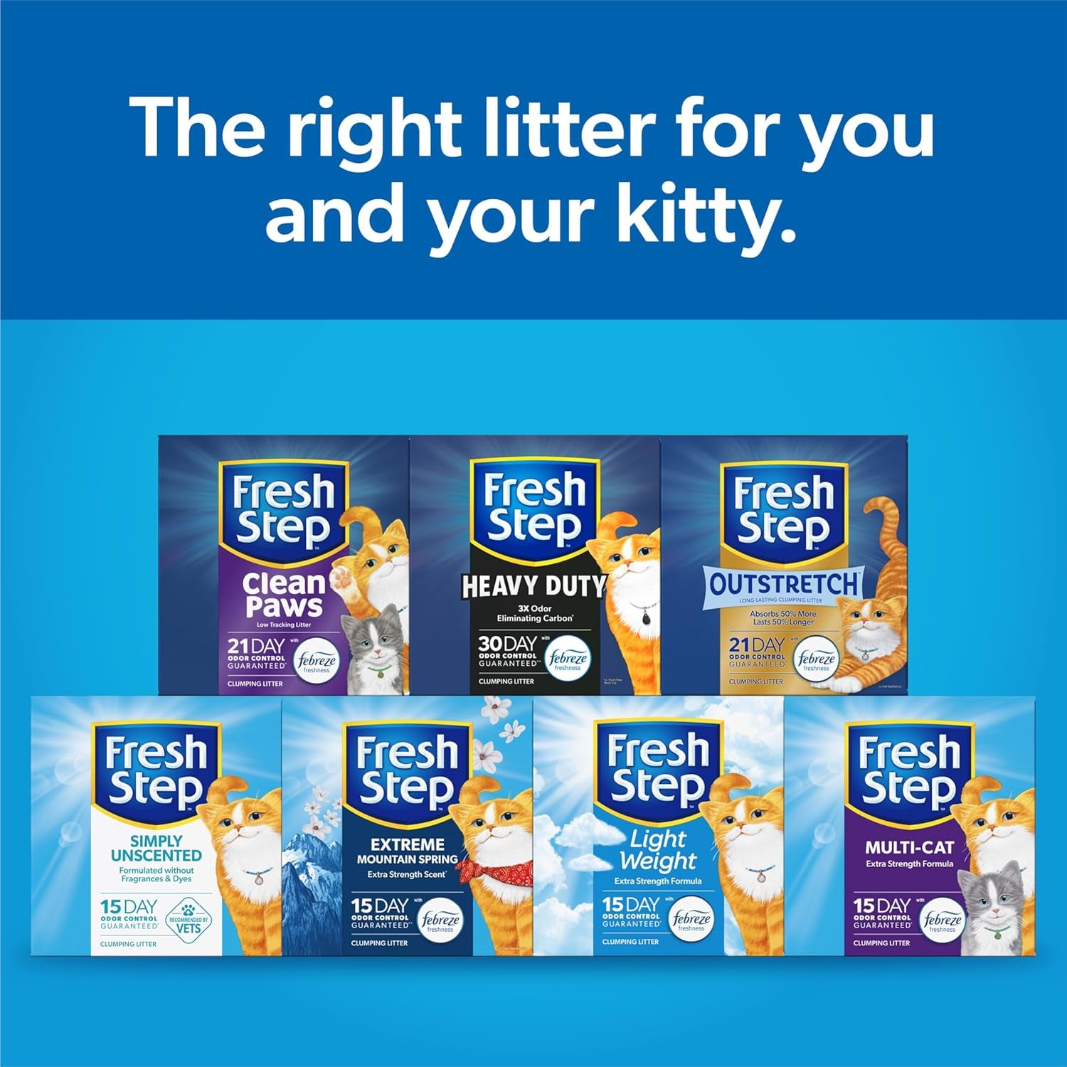Clumping Cat Litter, Multi-Cat, Long Lasting Odor Control Kitty Litter with Activated Charcoal, Low Dust Formula, 14 Lb