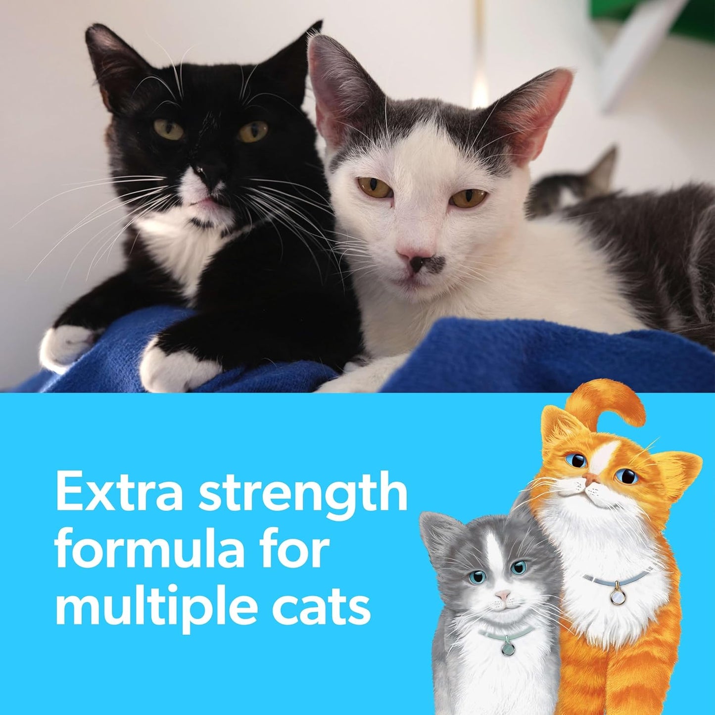 Clumping Cat Litter, Multi-Cat, Long Lasting Odor Control Kitty Litter with Activated Charcoal, Low Dust Formula, 14 Lb