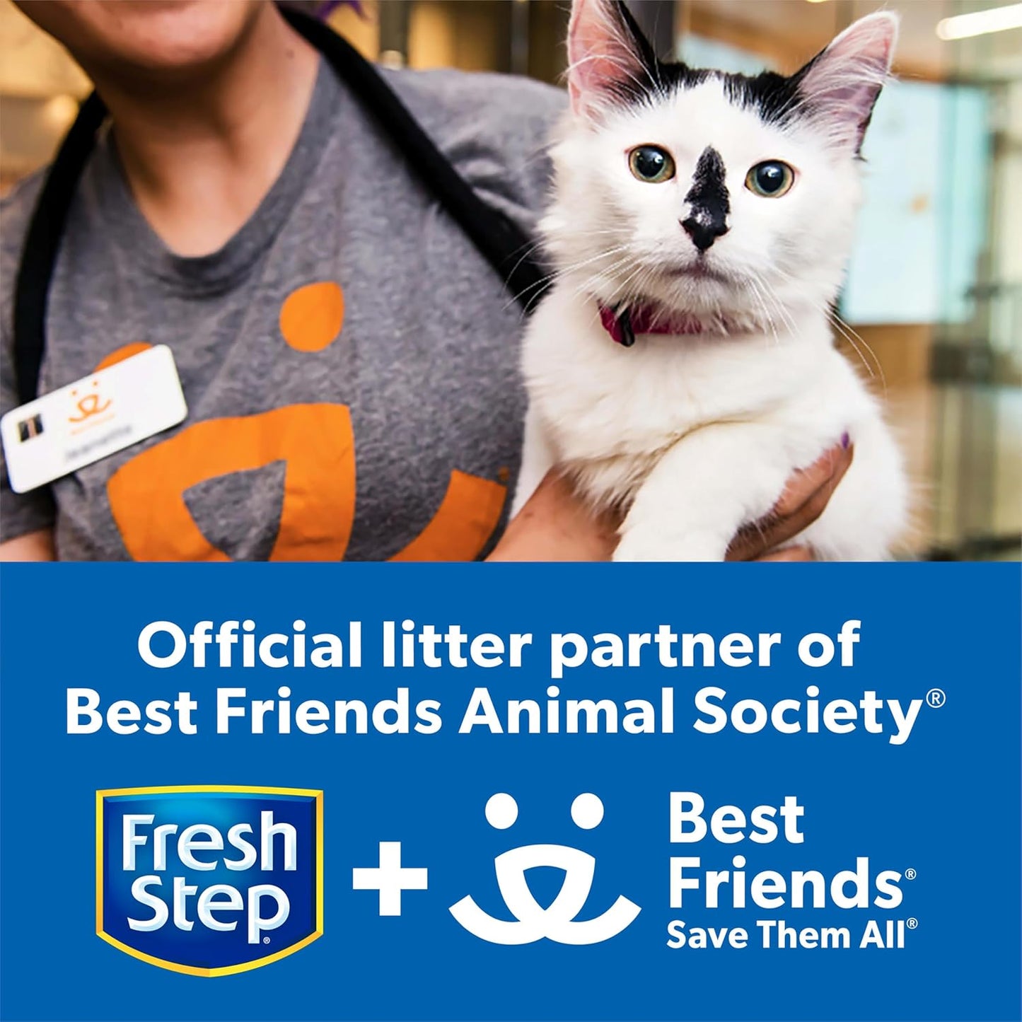 Clumping Cat Litter, Multi-Cat, Long Lasting Odor Control Kitty Litter with Activated Charcoal, Low Dust Formula, 14 Lb